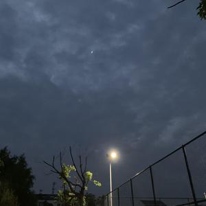 色妞www精品视频一级下载
