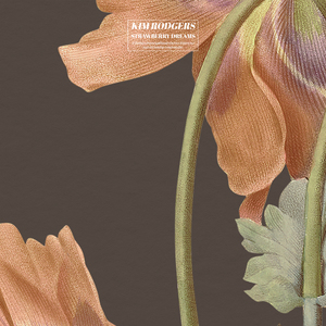 色妞www精品视频一级下载
